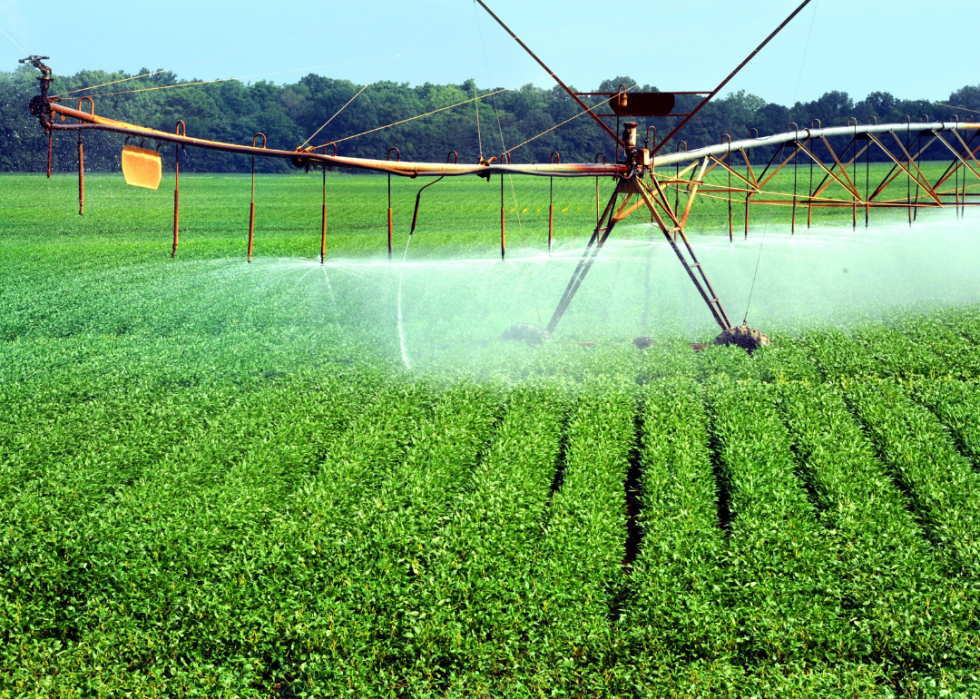 Comment l agriculture a changé dans chaque État au cours des 100 dernières années 