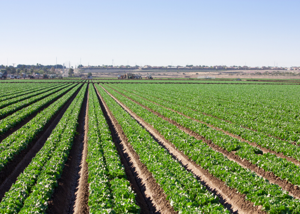 Comment l agriculture a changé dans chaque État au cours des 100 dernières années 