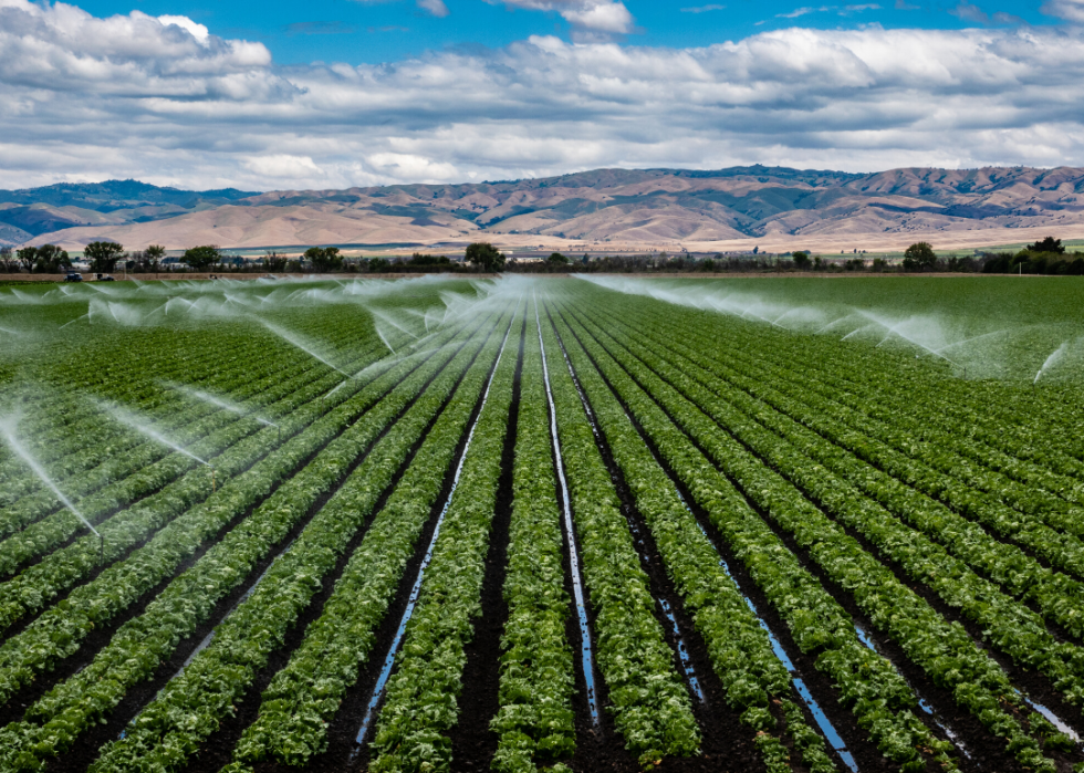 Comment l agriculture a changé dans chaque État au cours des 100 dernières années 