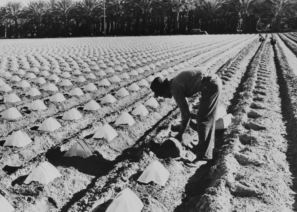 Comment l agriculture a changé dans chaque État au cours des 100 dernières années 