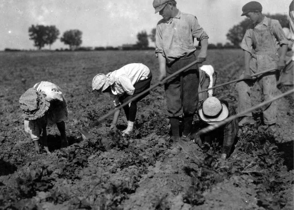 Comment l agriculture a changé dans chaque État au cours des 100 dernières années 