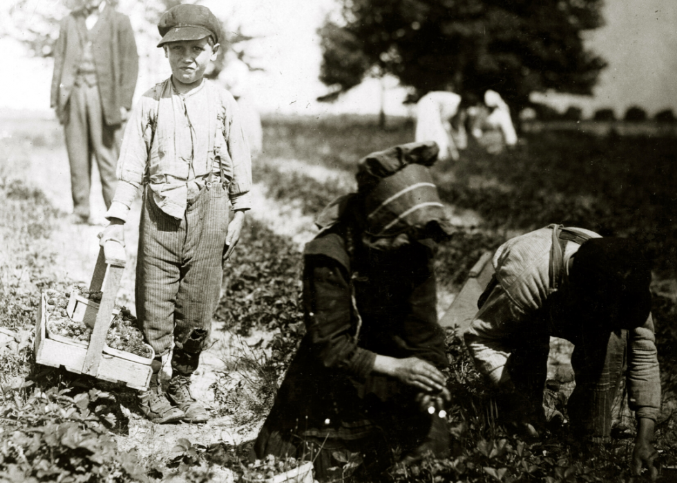 Comment l agriculture a changé dans chaque État au cours des 100 dernières années 