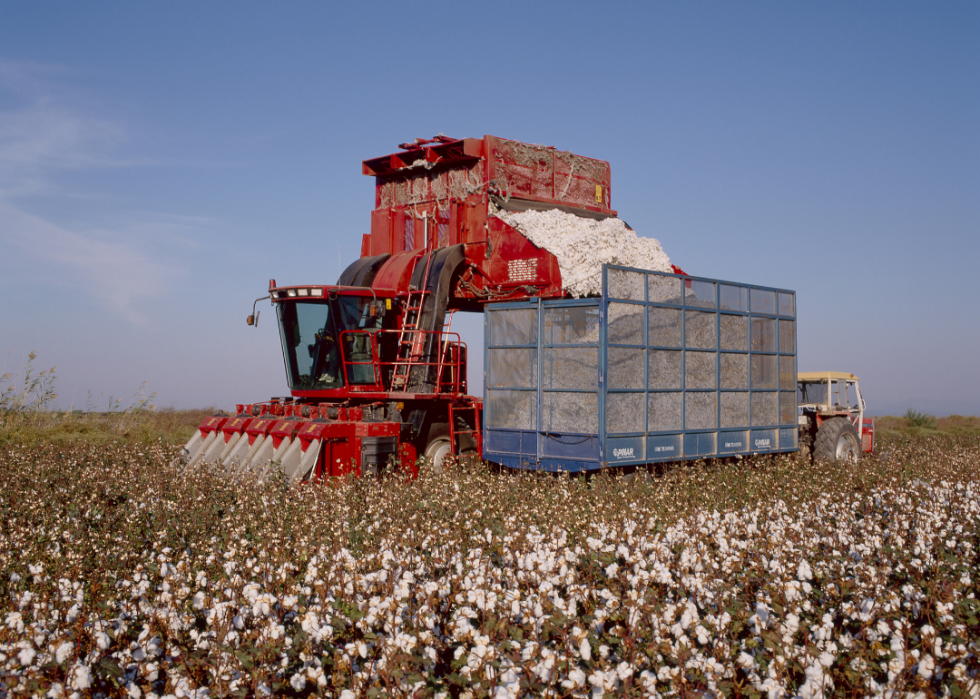 Comment l agriculture a changé dans chaque État au cours des 100 dernières années 