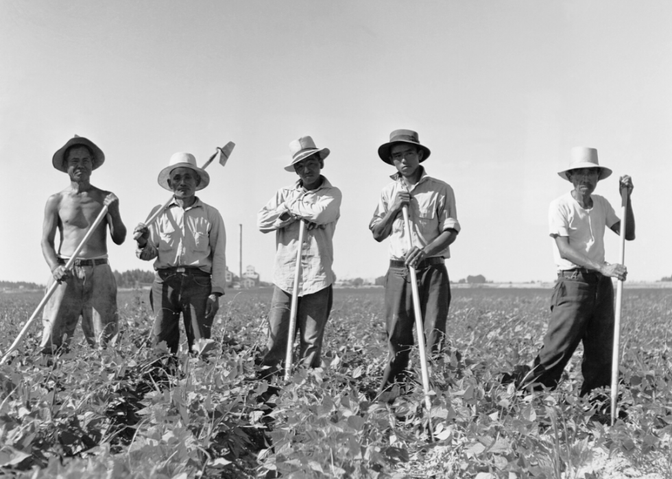 Comment l agriculture a changé dans chaque État au cours des 100 dernières années 