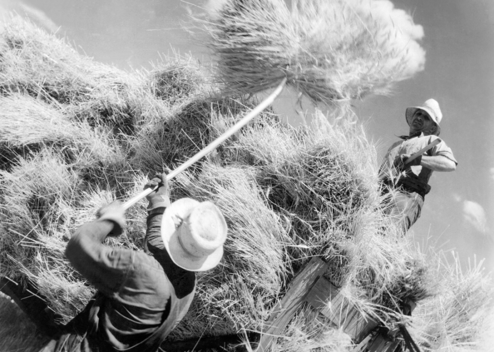 Comment l agriculture a changé dans chaque État au cours des 100 dernières années 