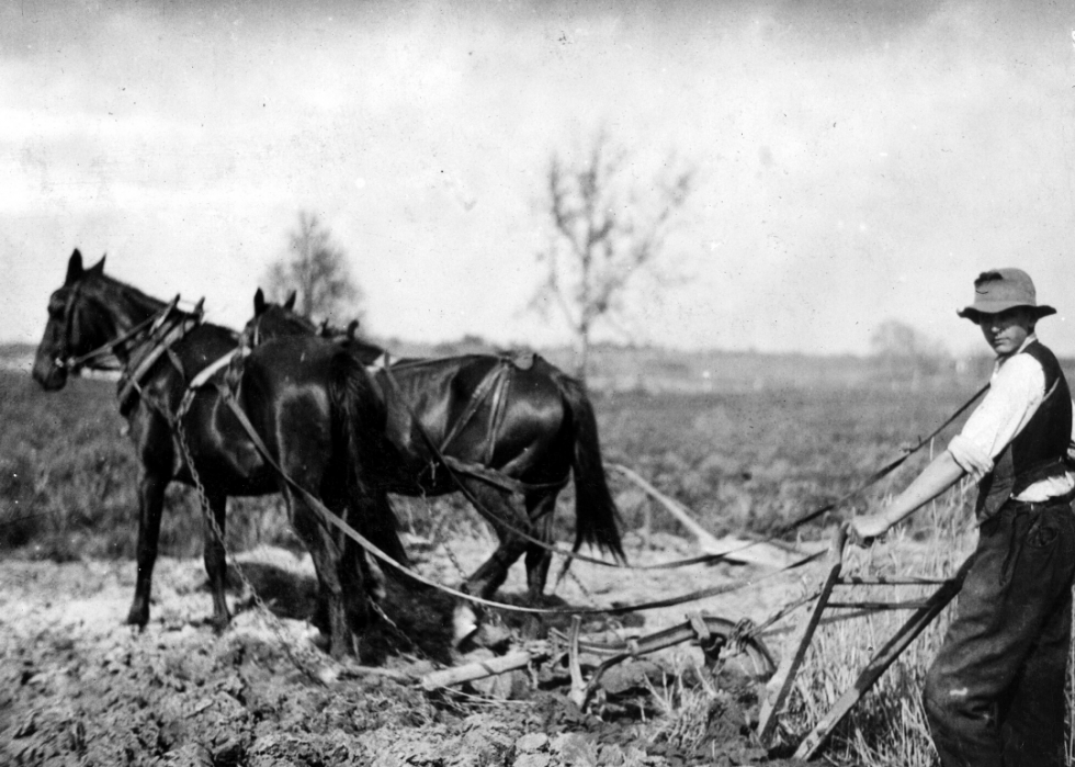 Comment l agriculture a changé dans chaque État au cours des 100 dernières années 