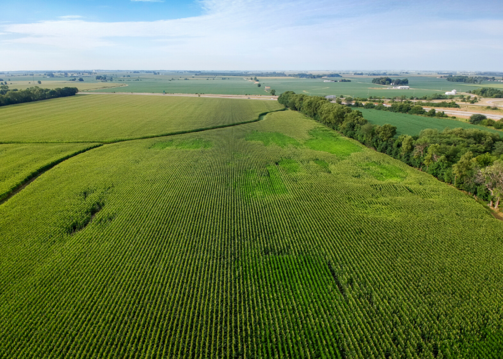 Comment l agriculture a changé dans chaque État au cours des 100 dernières années 