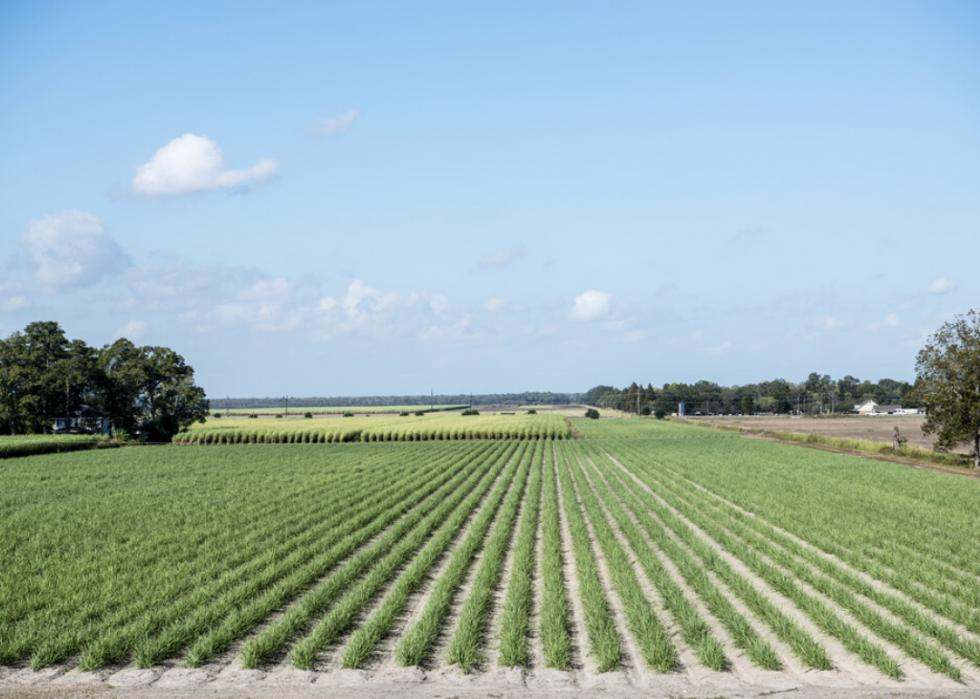 Comment l agriculture a changé dans chaque État au cours des 100 dernières années 