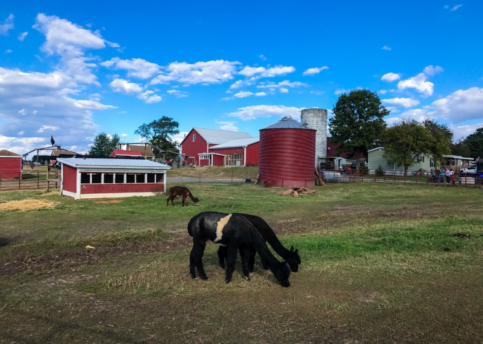 Comment l agriculture a changé dans chaque État au cours des 100 dernières années 