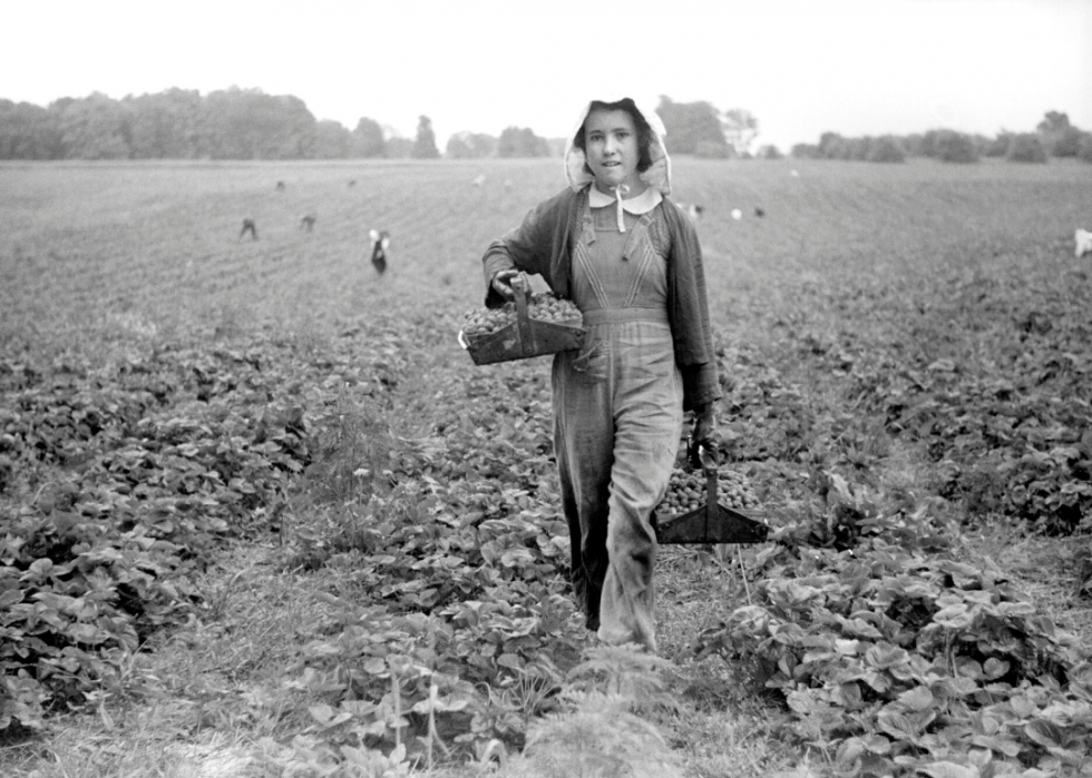 Comment l agriculture a changé dans chaque État au cours des 100 dernières années 