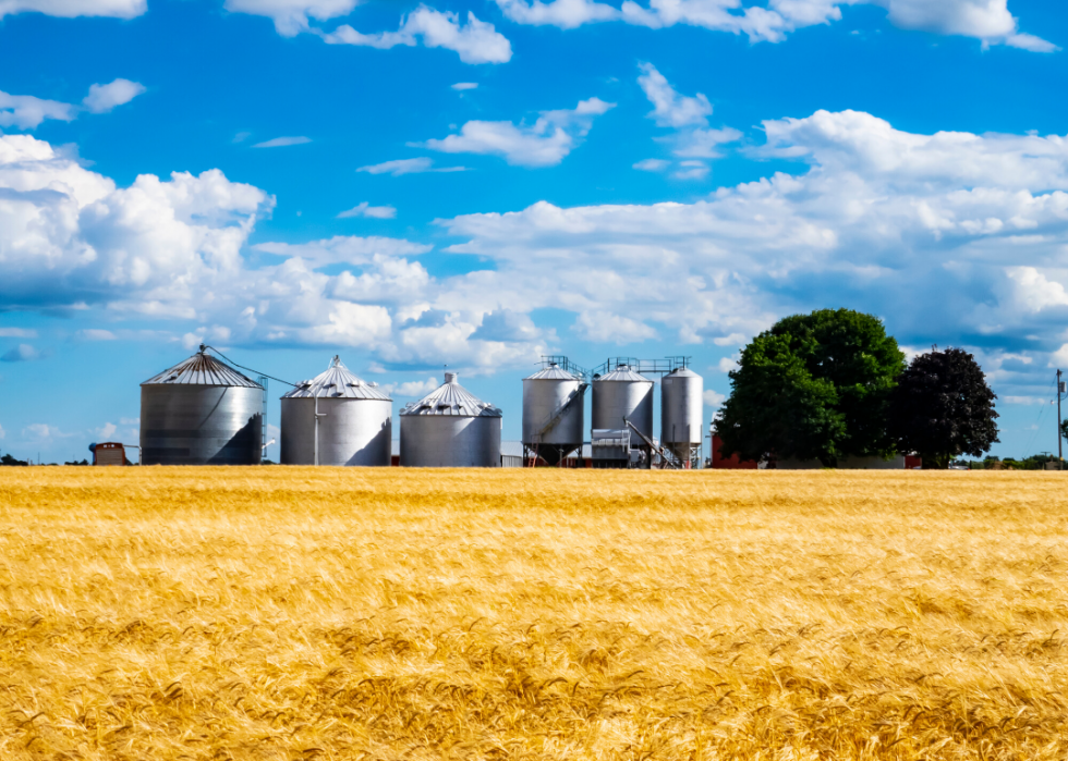 Comment l agriculture a changé dans chaque État au cours des 100 dernières années 