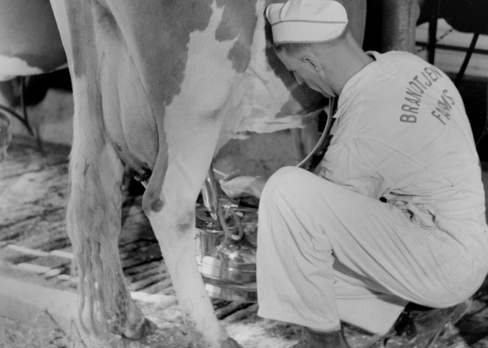 Comment l agriculture a changé dans chaque État au cours des 100 dernières années 