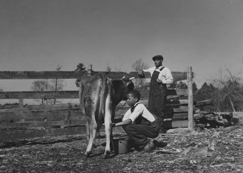 Comment l agriculture a changé dans chaque État au cours des 100 dernières années 