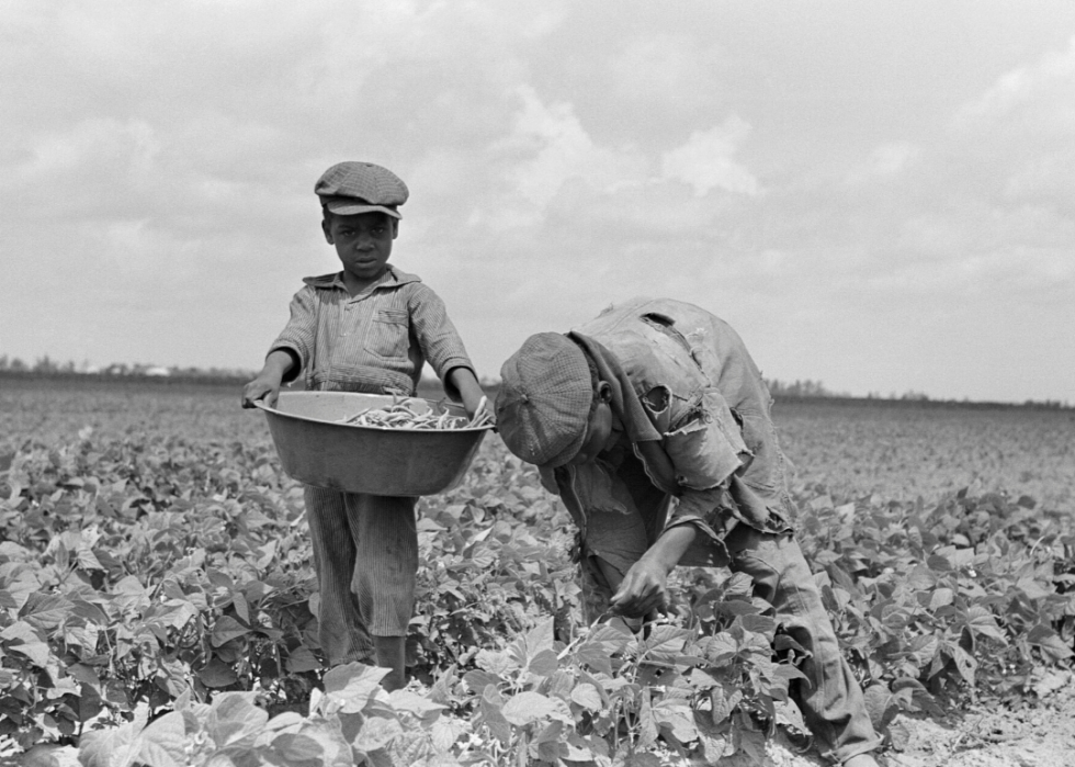 Comment l agriculture a changé dans chaque État au cours des 100 dernières années 