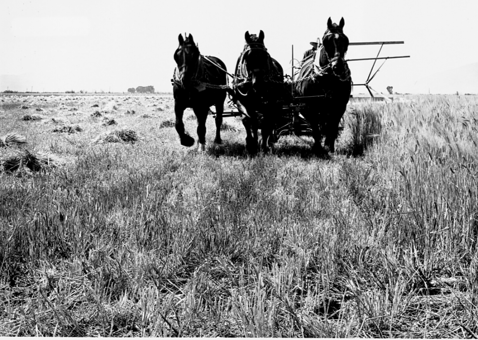 Comment l agriculture a changé dans chaque État au cours des 100 dernières années 