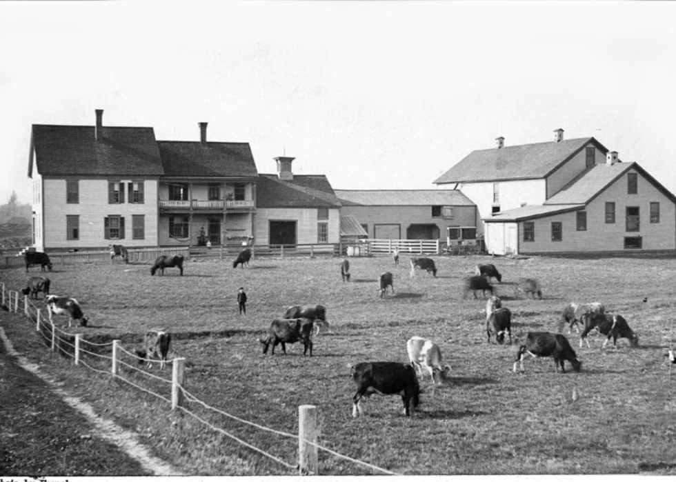 Comment l agriculture a changé dans chaque État au cours des 100 dernières années 