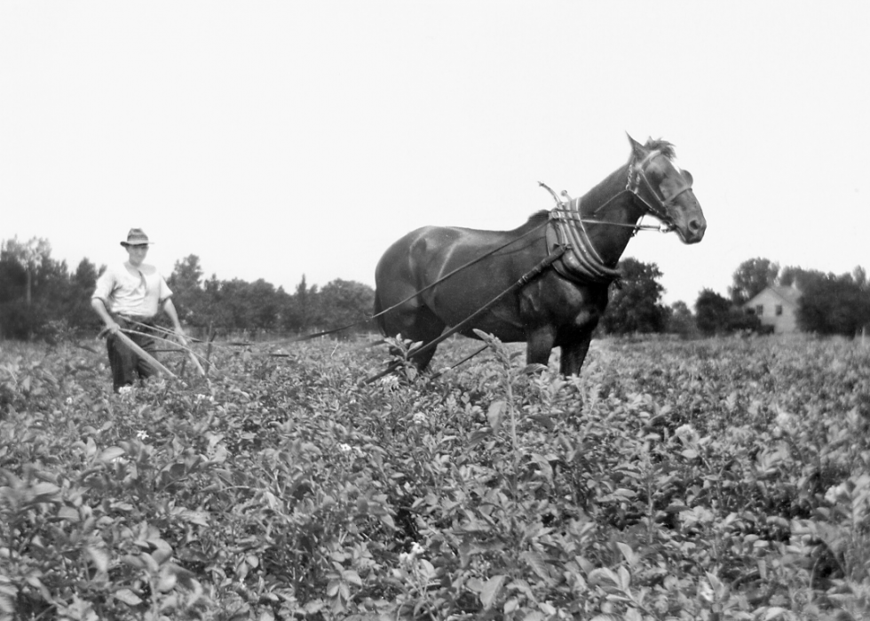 Comment l agriculture a changé dans chaque État au cours des 100 dernières années 