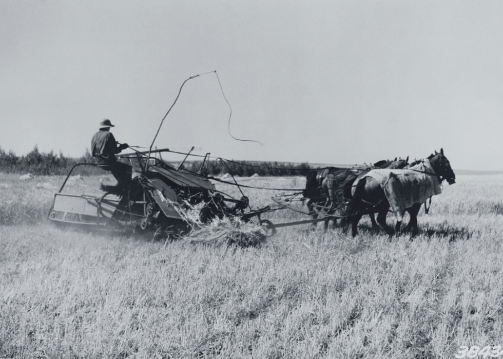 Comment l agriculture a changé dans chaque État au cours des 100 dernières années 