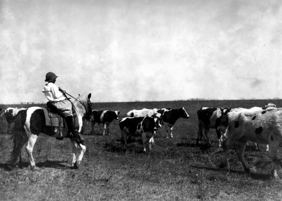 Comment l agriculture a changé dans chaque État au cours des 100 dernières années 