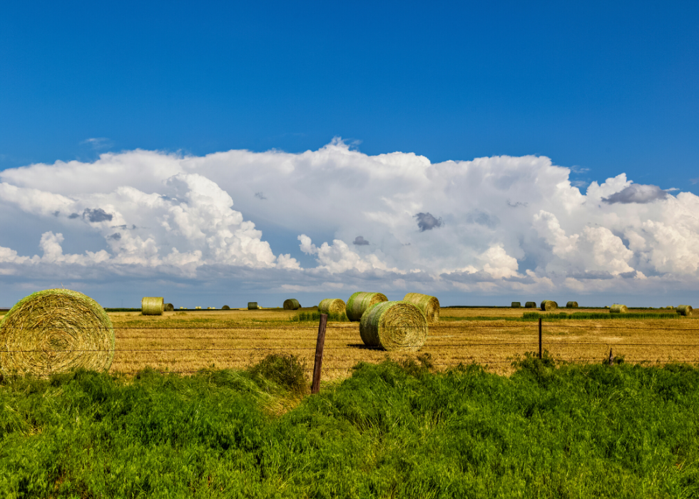 Comment l agriculture a changé dans chaque État au cours des 100 dernières années 