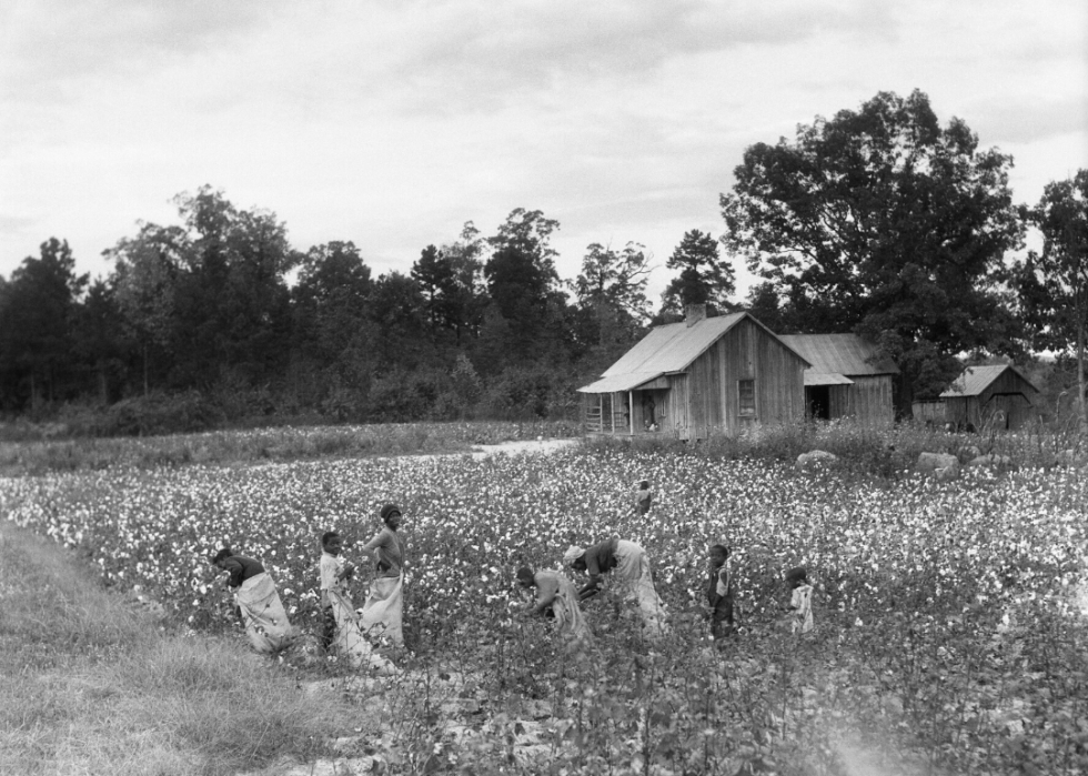 Comment l agriculture a changé dans chaque État au cours des 100 dernières années 