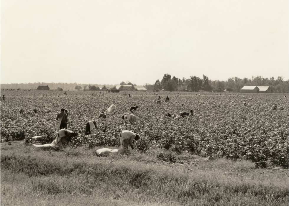 Comment l agriculture a changé dans chaque État au cours des 100 dernières années 