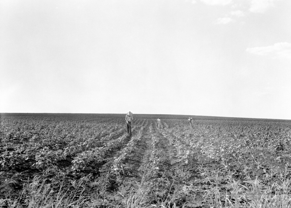 Comment l agriculture a changé dans chaque État au cours des 100 dernières années 