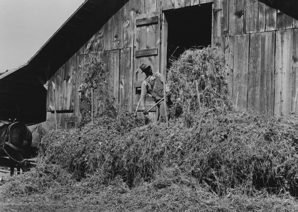 Comment l agriculture a changé dans chaque État au cours des 100 dernières années 