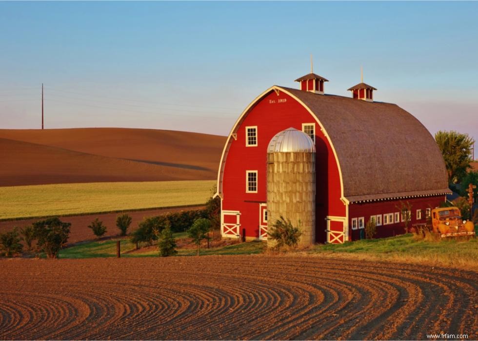 50 faits fascinants sur l agriculture en Amérique 