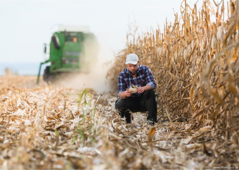 50 faits fascinants sur l agriculture en Amérique 