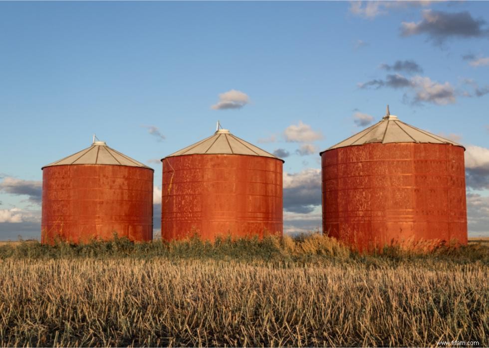 50 faits fascinants sur l agriculture en Amérique 