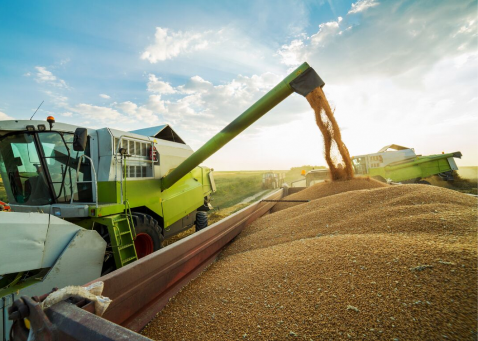 50 faits fascinants sur l agriculture en Amérique 