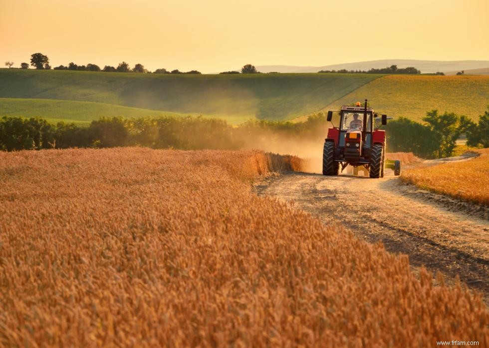 50 faits fascinants sur l agriculture en Amérique 