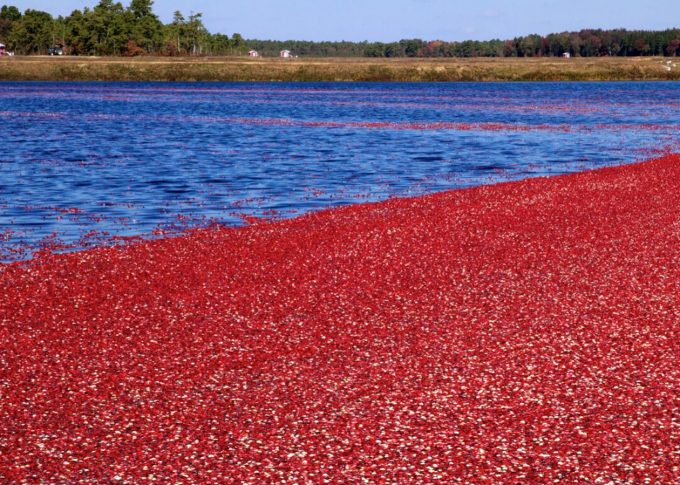 50 faits fascinants sur l agriculture en Amérique 