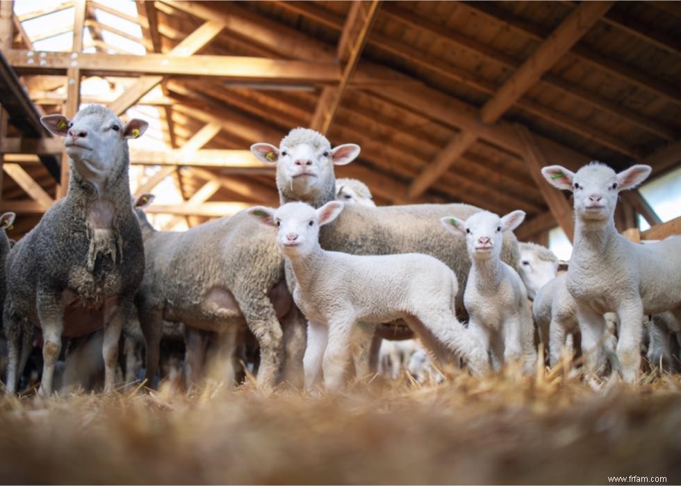 50 faits fascinants sur l agriculture en Amérique 