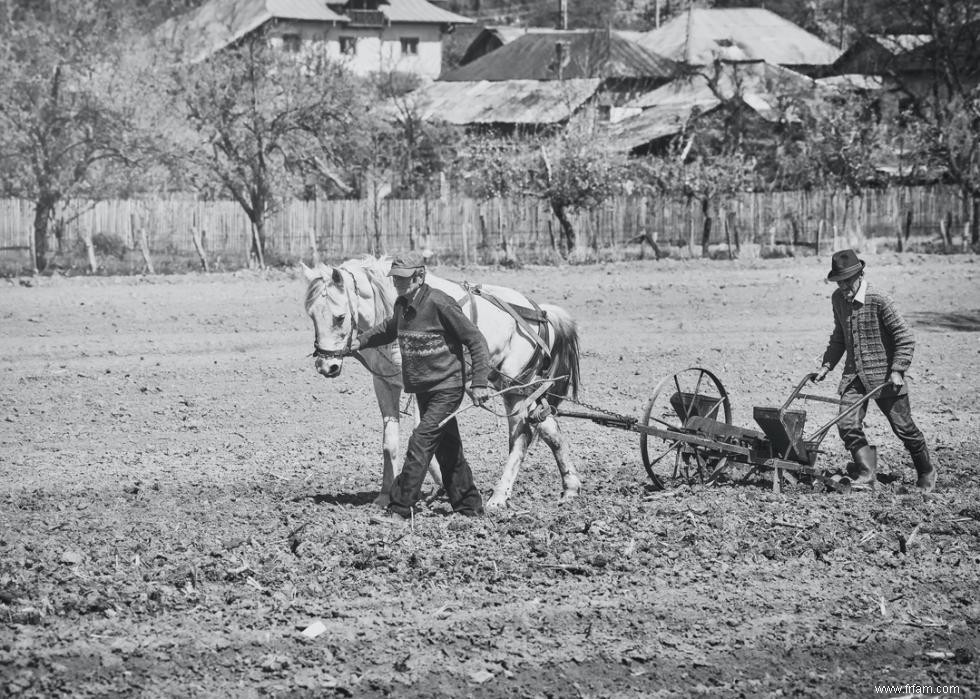 50 faits fascinants sur l agriculture en Amérique 