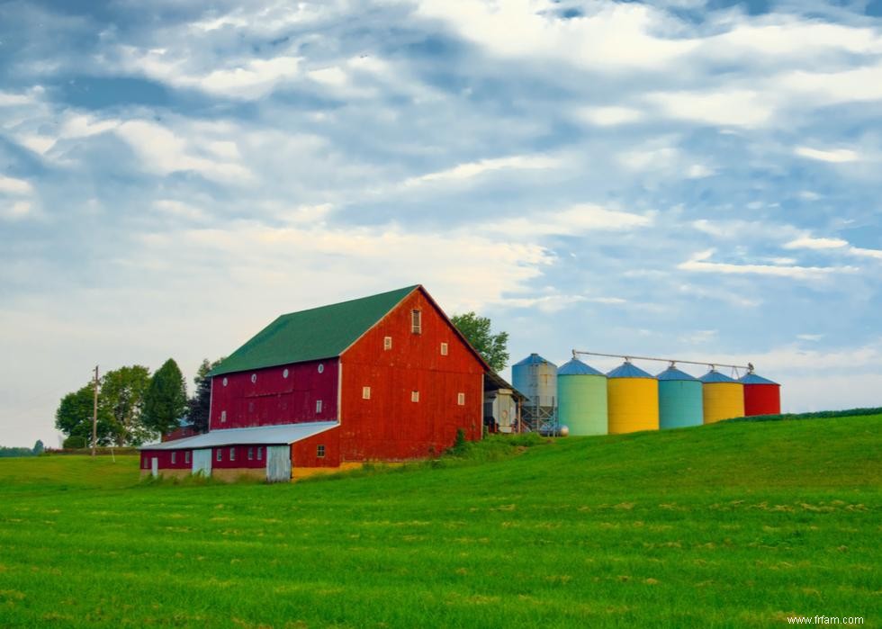 50 faits fascinants sur l agriculture en Amérique 