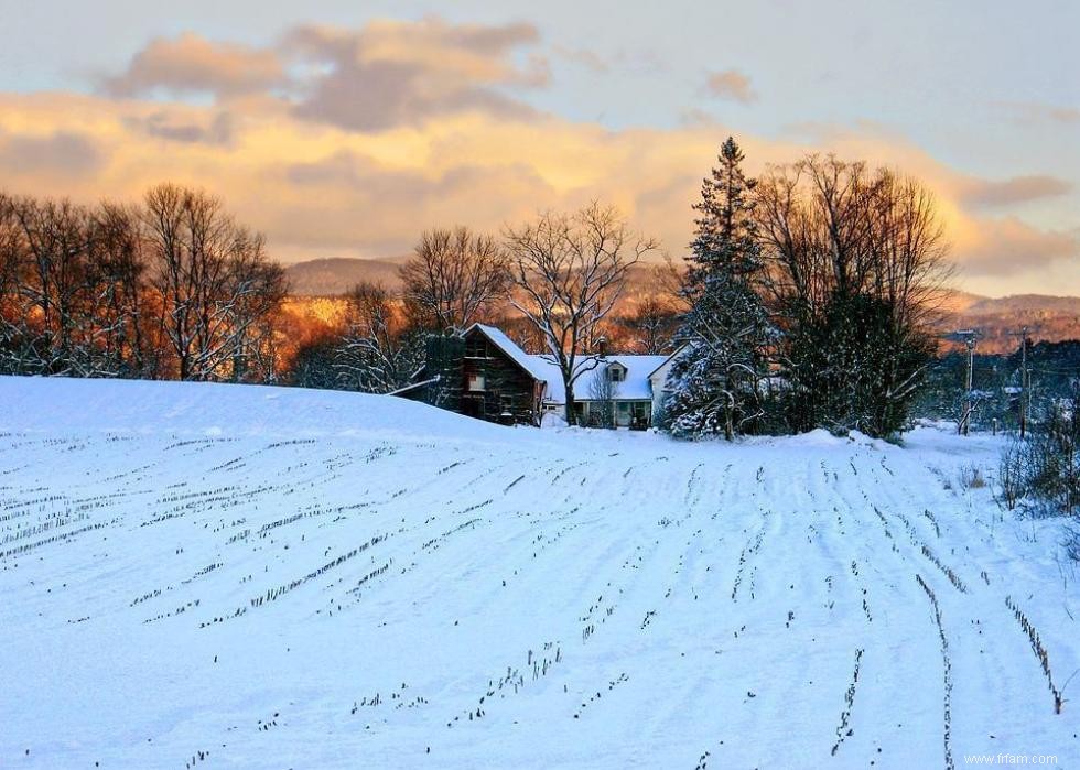 États avec le plus de terres agricoles 