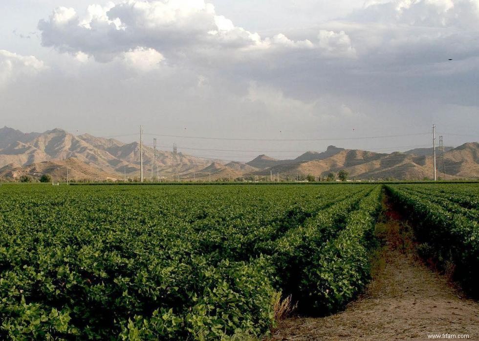 États avec le plus de terres agricoles 