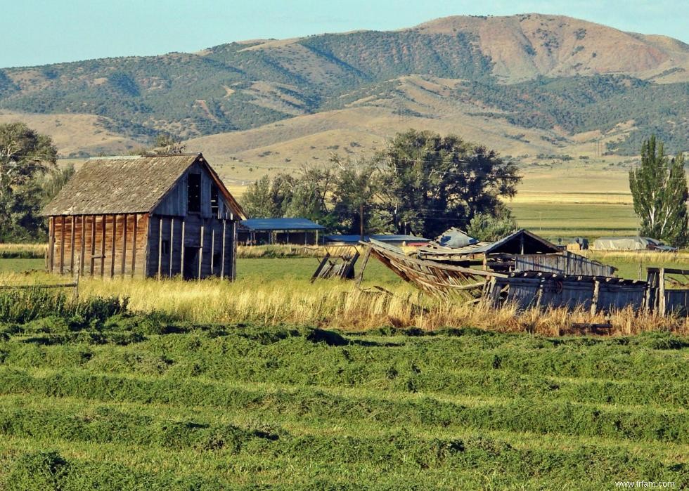 États avec le plus de terres agricoles 