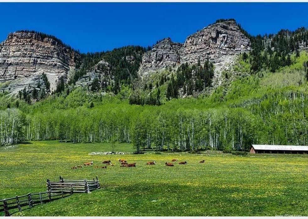 États avec le plus de terres agricoles 