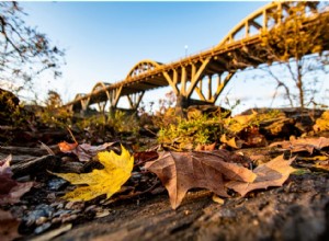 La plus grande source de recettes fiscales dans chaque État 