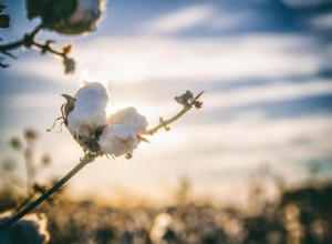 Produits agricoles les plus précieux de chaque État 