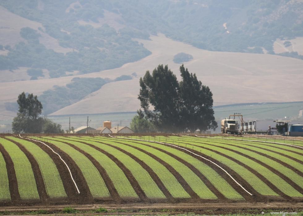 Produits agricoles les plus précieux de chaque État 