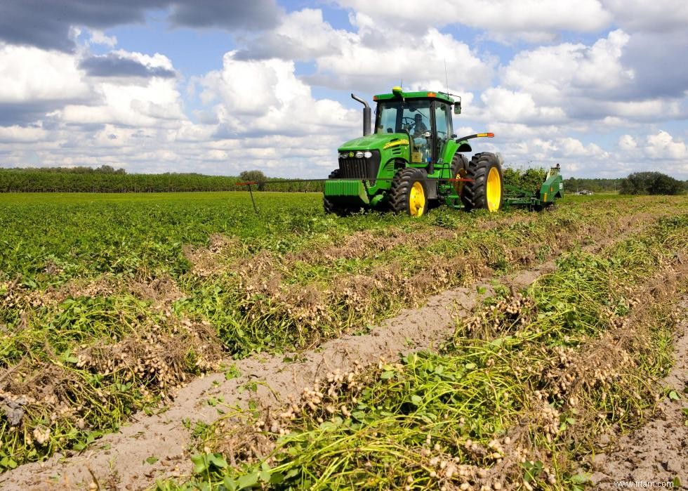 Produits agricoles les plus précieux de chaque État 