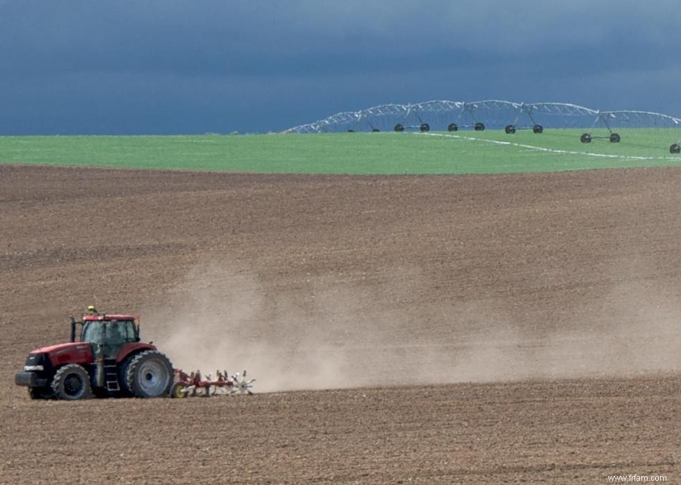 Produits agricoles les plus précieux de chaque État 