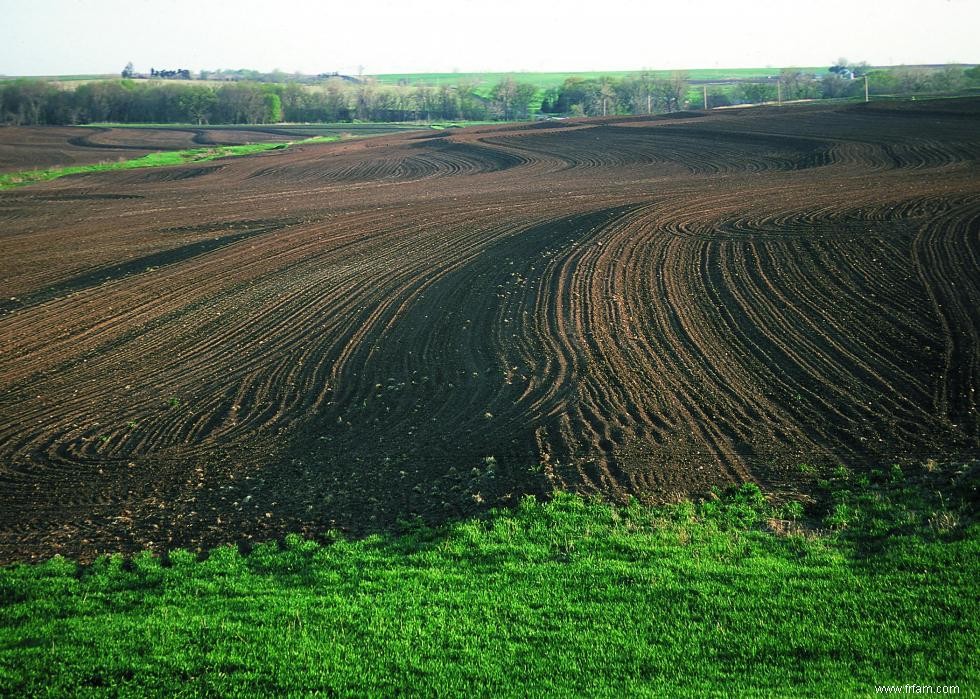 Produits agricoles les plus précieux de chaque État 