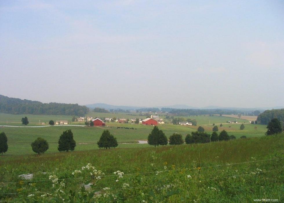 Produits agricoles les plus précieux de chaque État 