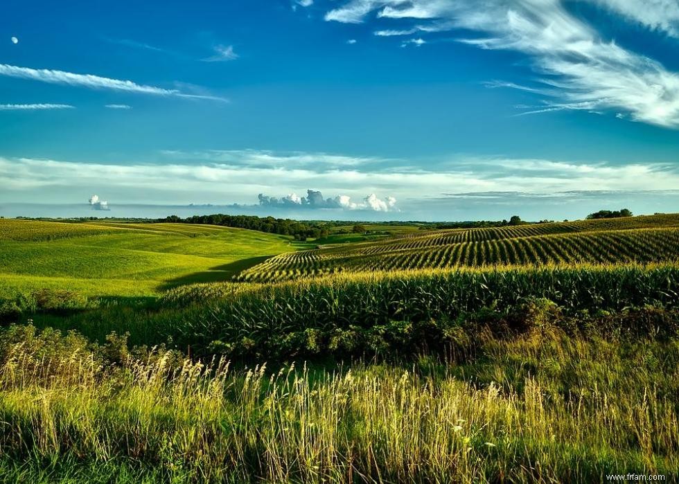 Produits agricoles les plus précieux de chaque État 