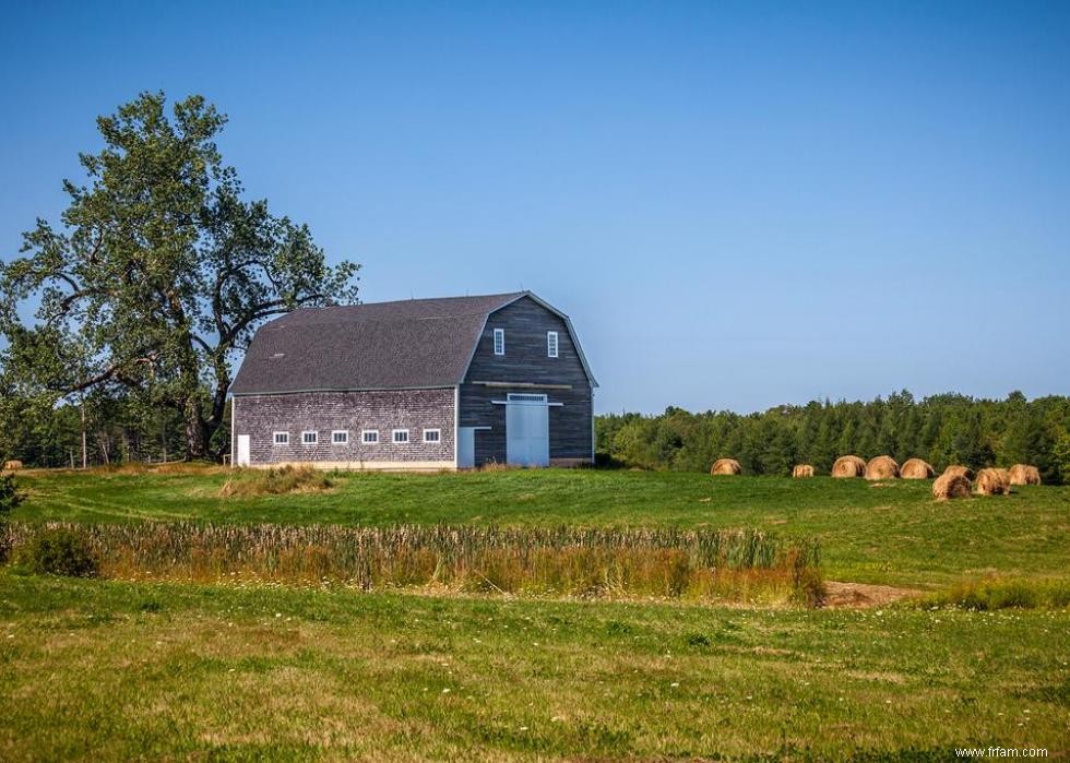 Produits agricoles les plus précieux de chaque État 